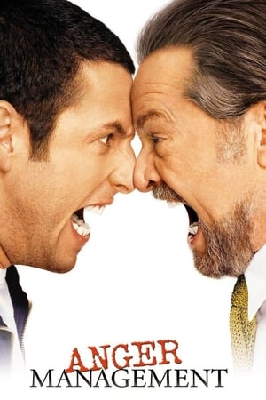 Anger Management (2003) Dual Audio HDRip | Hindi Full Movie – 480p
