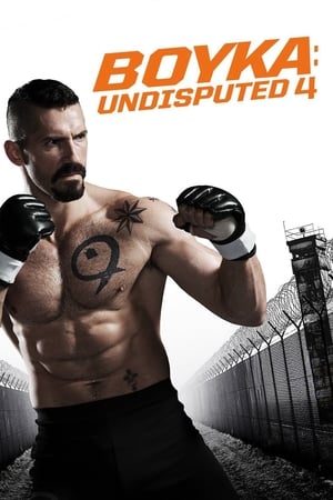 Boy 2019 Movie | Hindi Full Movie HDRip x264 [1GB]