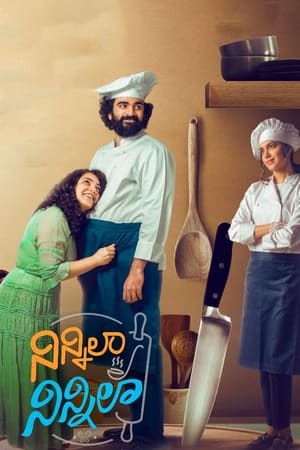 Ninnila Ninnila (2021) Movie | Hindi Full Movie HDRip – [400MB]