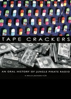 Pirate Radio (2009) Dual Audio | Hindi Full Movie BluRay 400MB
