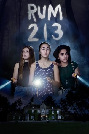 Rum 213 2017 Dual Audio | Hindi Full Movie BluRay 280MB