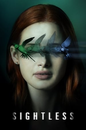 Sightless 2020 Dual Audio | Hindi Full Movie Web-DL 300MB